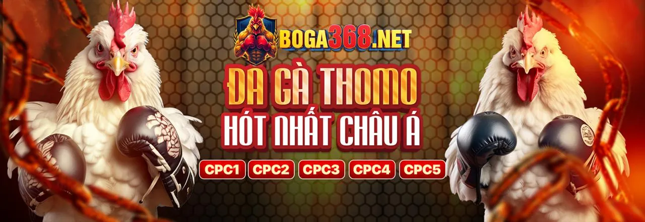 Hình ảnh tổng quan về cá cược trực tuyến an toàn tại win55 nhân 55k